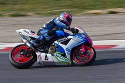 suzuki2